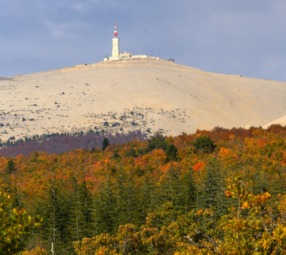 Ventoux en automne