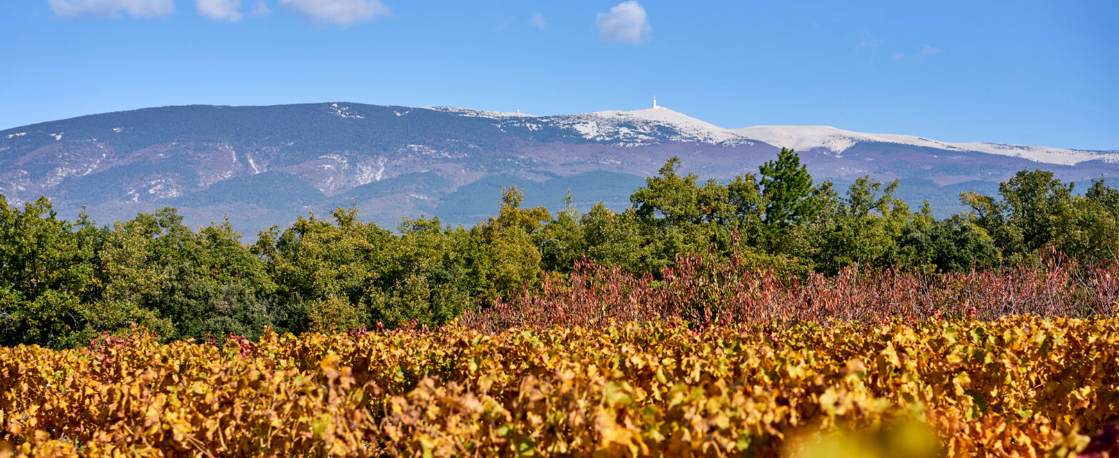 Ventoux en automne © Rosso