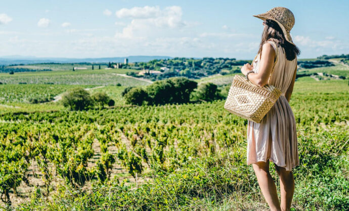 Vignobles de Châteauneuf-du-Pape