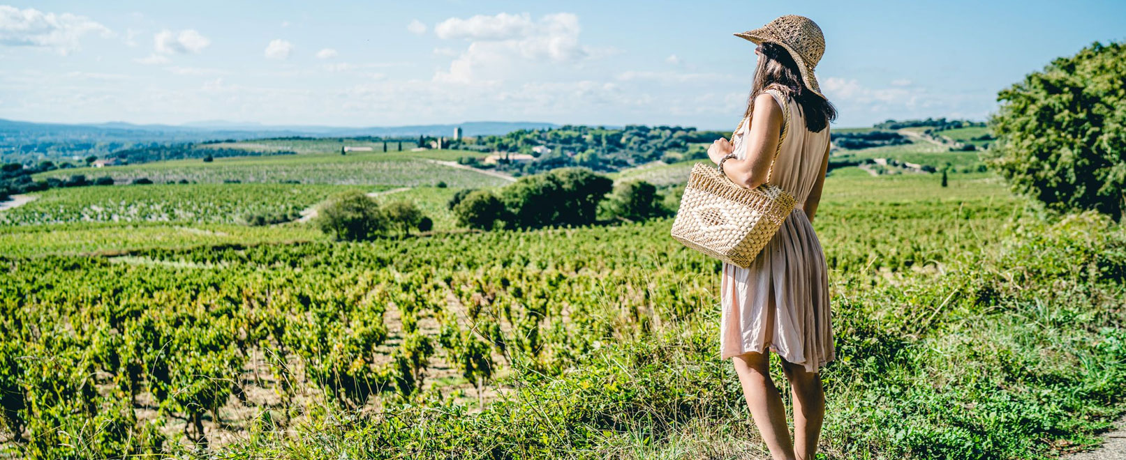 Vignobles de Châteauneuf-du-Pape © O’Brien