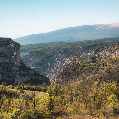 Paysage des Gorges de la Nesque