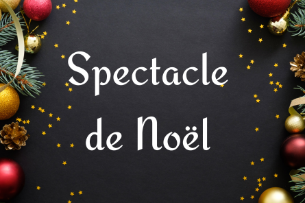 Spectacle lumineux de Noël