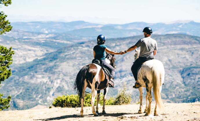 Balade à cheval au Ventoux