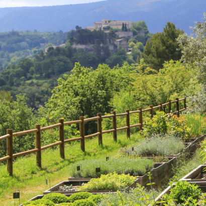 Découverte botanique au Domaine de la Citadelle